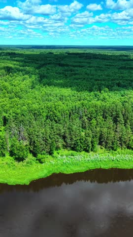 Lush green forest canopy adjacent to a winding river under a clear blue sky