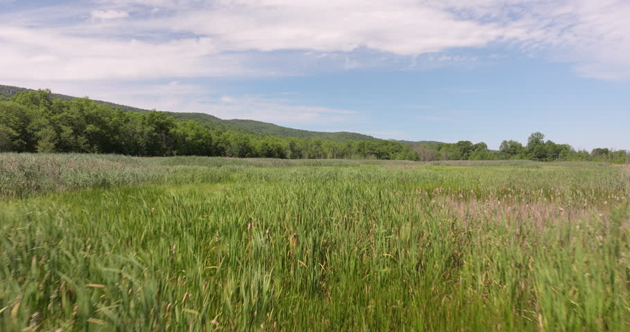 Marsh and Swamp Fly Over near Shawangunk Ridge