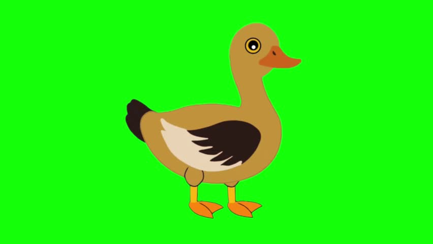 Cute Light Brown Duck Talking Cycle Animation Frames Cartoon Bird Sprite Sheet