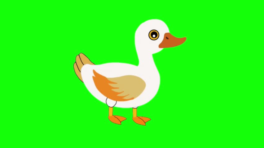Cute White Duck Talking Cycle Animation Frames Cartoon Bird Sprite Sheet