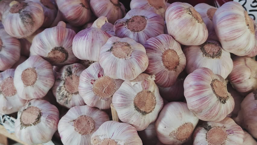 Fresh garlic bulbs with purple stripes displayed at a farmers market. Close up view of healthy, organic vegetables for sale