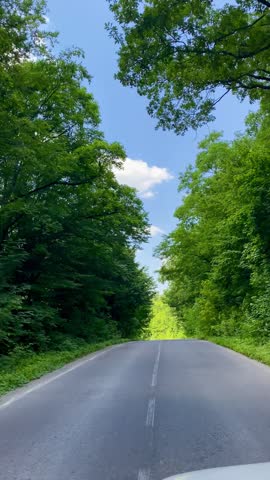 hills, zigzag, mountains, trees, nature, forest, branches, drive, Ukraine