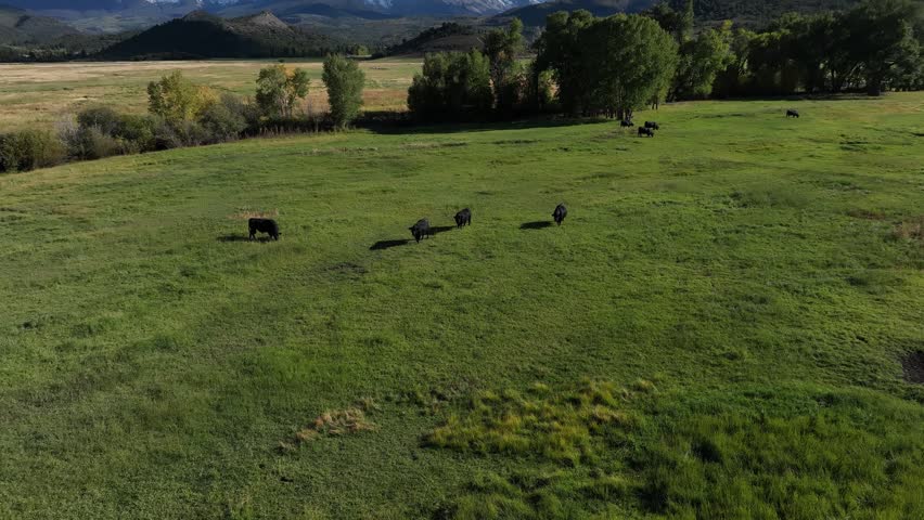 Aerial views of Colorado mountain landscapes