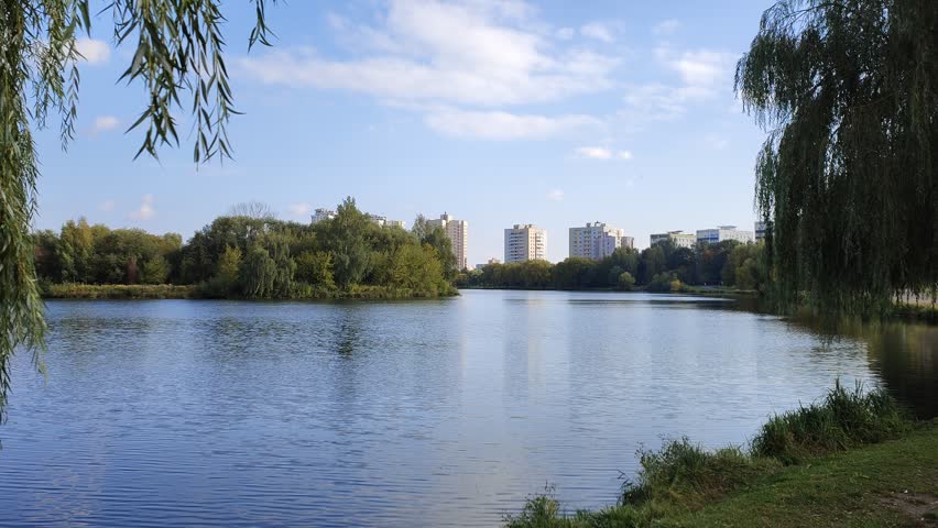 Willow trees with branches bent over the calm water grow on the grassy shore of the lake. Further on there are residential buildings and trees with yellowed leaves. Sunny autumn weather and blue sky with clouds