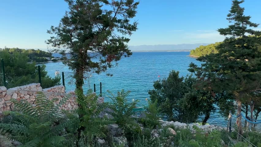 Explore the views of a clear blue sea from a rocky shore surrounded by trees and plants on a sunny day