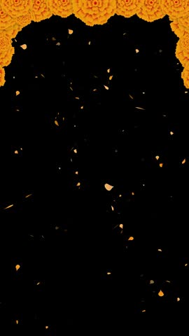 Day of the Dead decoration with cempasúchil, vertical format for social networks animation of falling petals, Festivity in Mexico. marigold alpha channel