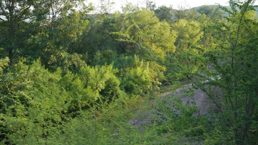 Queretaro Walkway Railing Above Lush River Valley