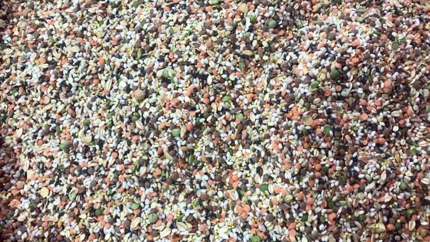 A high-angle, detailed close-up shot of a diverse mixture of raw grains, various types of lentils, beans, and seeds, creating a colorful and textured food background.