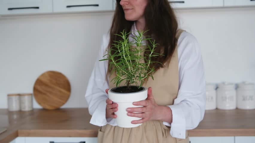Woman holding a potted rosemary plant in a kitchen