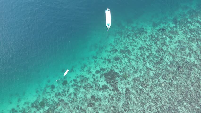 A top-down aerial footage of a green sea turtle swimming in the clear shallow water off the shore of Gilli Islands, Indonesia on a sunny day