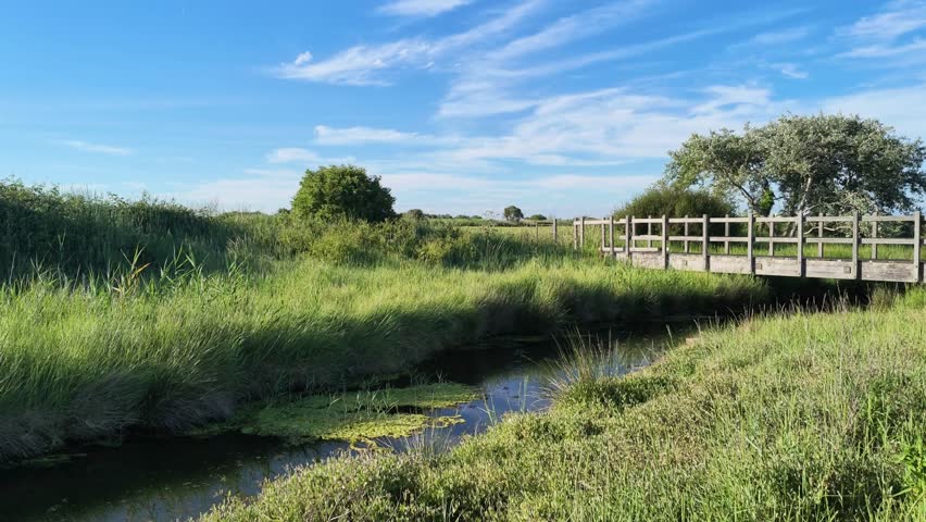 Calshot Hampshire England UK. 14.06.2026. Video. A picturesque wooden footbridge crosses a narrow, slow-moving stream surrounded by vibrant green grasses and wildflowers under a bright blue sky.