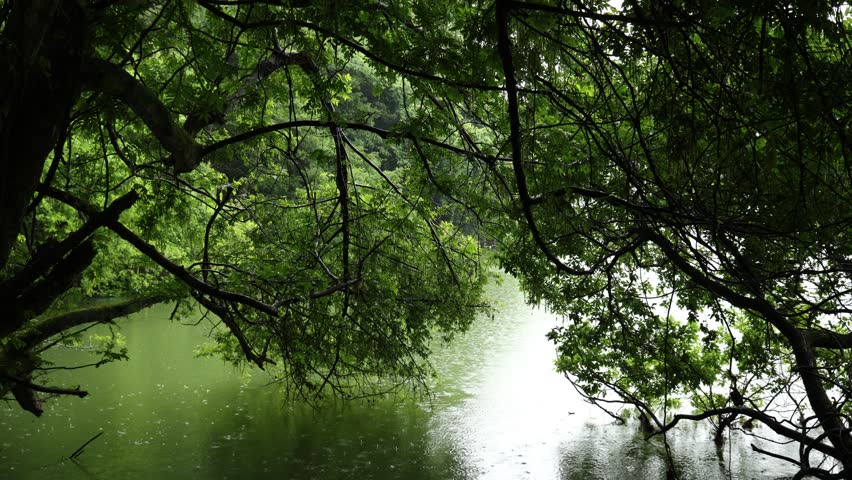 Rain falling over a lake in natural outdoor landscape