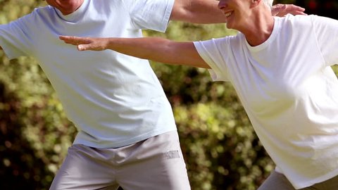 Mature couple practicing tai chi in a park
