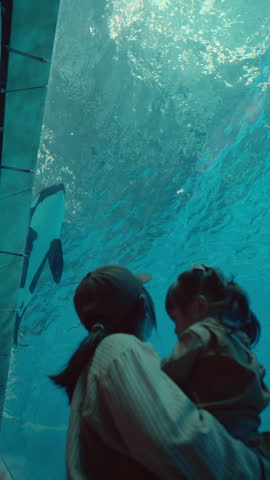 Silhouette of Asian mother and little daughter looking at killer whales swimming underwater in aquarium, happy family enjoying orca whale show on summer vacation travel, marine life learning