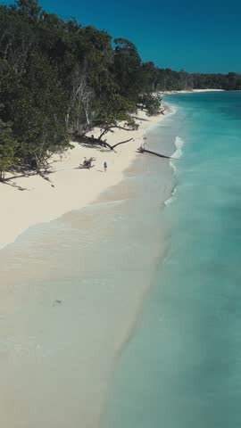 Aerial view asian woman walking shoreline, solo traveler exploring Grajagan Bay, driftwood scattered on pale sand, turquoise waves lapping gently, forested national park backdrop, vertical video