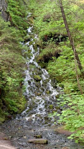 Small waterfall cascading through a lush temperate rainforest near Seward, Alaska, on a summer day.