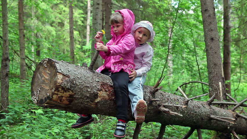 Two little Caucasian girls sitting on a fallen tree in the forest