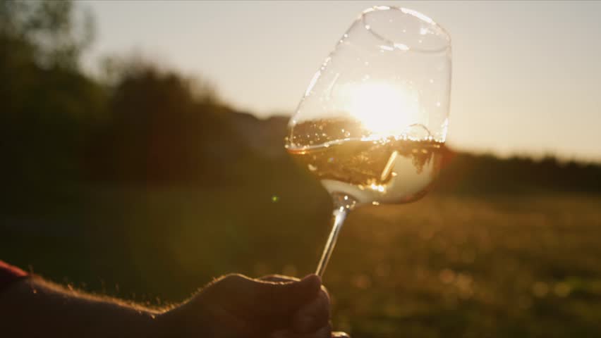 Savor the elegance of white wine as it pours into a glass, illuminated by the golden glow of the evening sun amidst a tranquil vineyard backdrop.