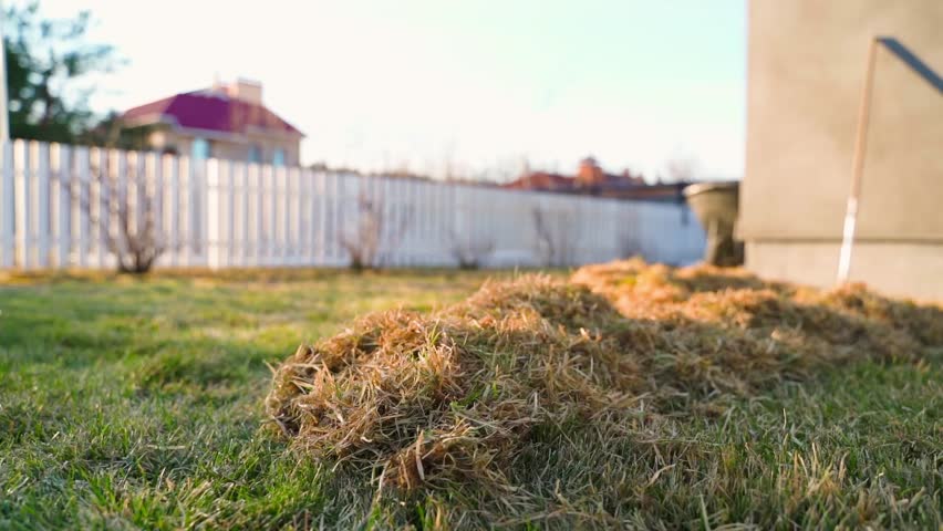 Pile of raked dry grass on lawn with white fence and house in background 