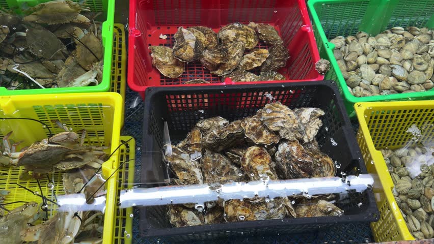 Fresh seafood displayed at a supermarket fish market
