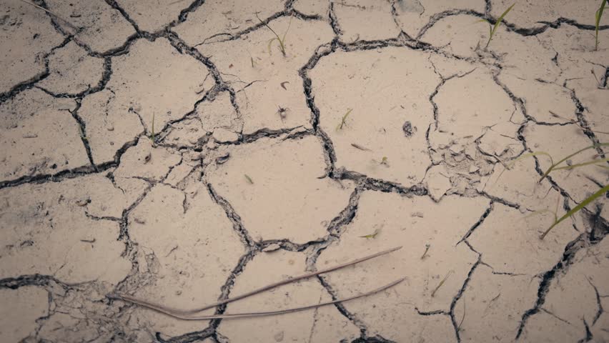 Cracked earth during extreme drought and water scarcity. Tilting movement revealing parched ground texture caused by climate change.