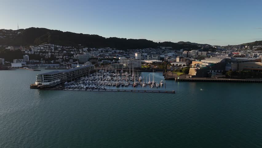Harbor with yachts near waterfront architecture at sunset in Wellington, New Zealand. Aerial drone, copy space