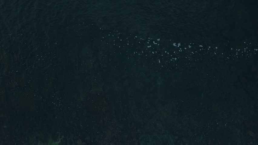 Dramatic aerial footage captures textured waves rolling against a rugged rocky shoreline at dusk. Moody, natural lighting highlights swirling surf and coastal textures from a high drone perspective.
