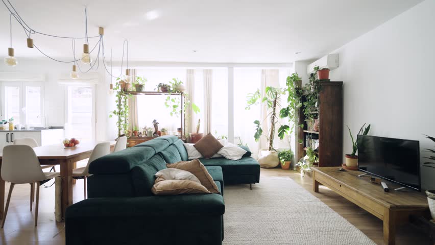 Bright and spacious living room with a comfortable green sofa, dining area, and many houseplants creating a fresh, biophilic design