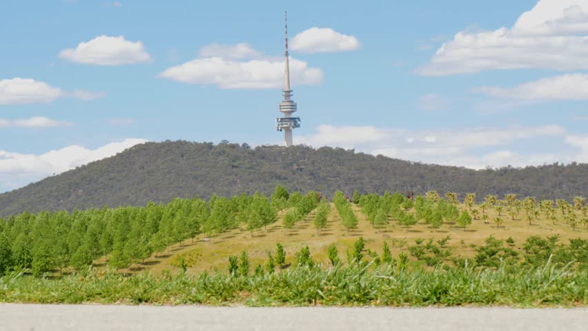 Sunny hillside with a tower