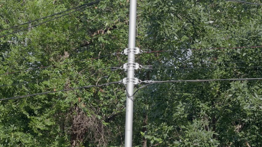 Metal pole with brackets and stretched wires against green foliage background.