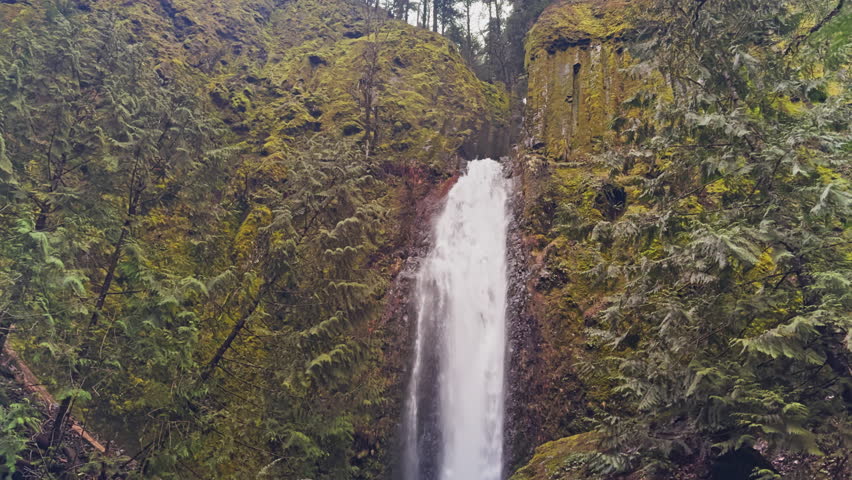 Tall forest waterfall framed by dense evergreen trees and mossy cliff walls, Dry Creek Falls Oregon