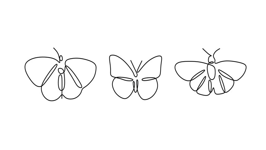 Animated self drawing of continuous line draw of  Butterflies Line Art Illustration Summer Azure, Orange Sulphur, Wild Indigo Duskywing. Full length one line animation. 4K   