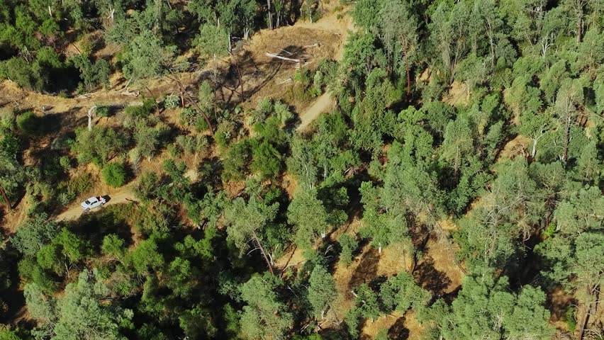 View from above shows a large area of trees with a small vehicle parked on a dirt road. The photo captures the dense forest and unpaved paths in a remote region of the USA.