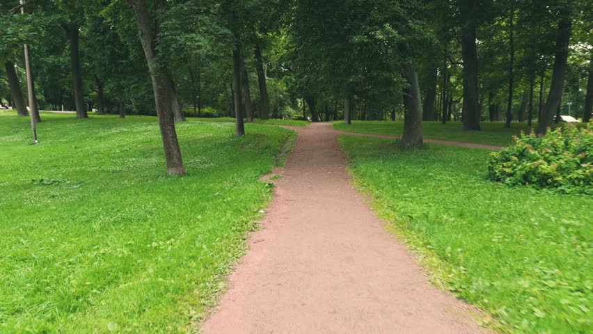 A view from the eyes of a person walking along an alley in a park, enjoying the greenery of the grass and trees in summer