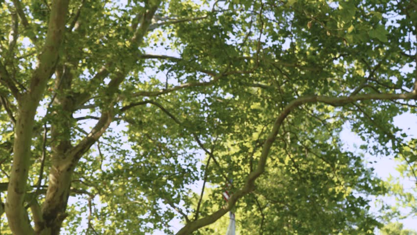 Camera tilts down to reveal a Civil War cannon in a park