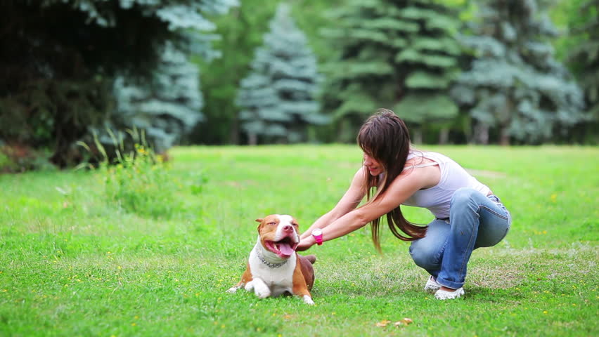 Woman with her beautiful dog playing outdoors, pit bull terrier