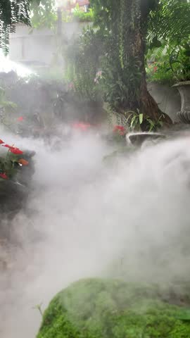 Mist in the forest adds humidity and beauty.