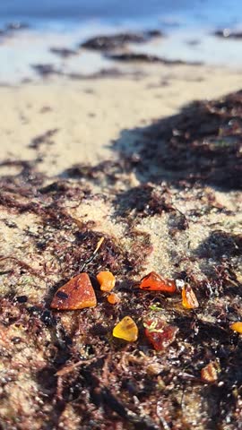 Close-up texture of organic fossil resin stones among marine debris on the shore.