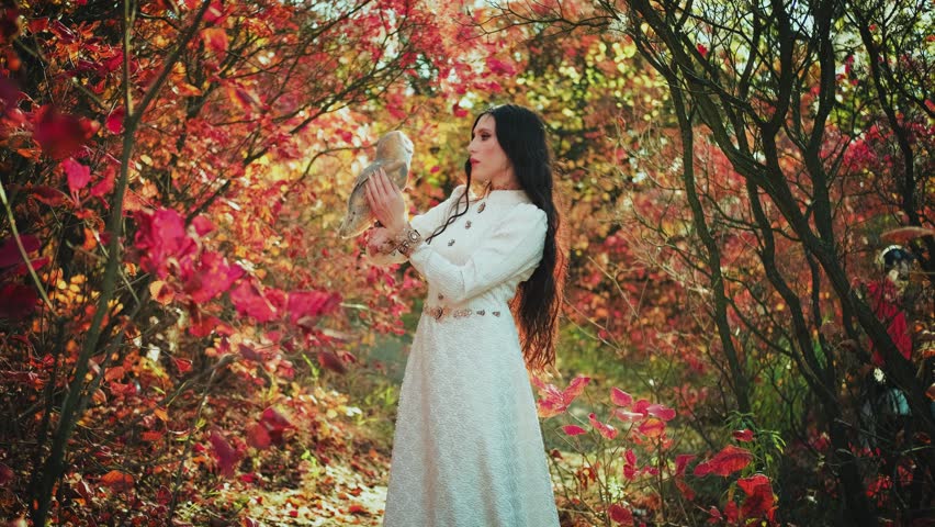 Sexy woman fashion model posing with barn owl on shoulder for creative shoot. Girl stylish medieval princess huntress, beautiful face art portrait strokes white bird. Autumn nature magic sun light 4k.