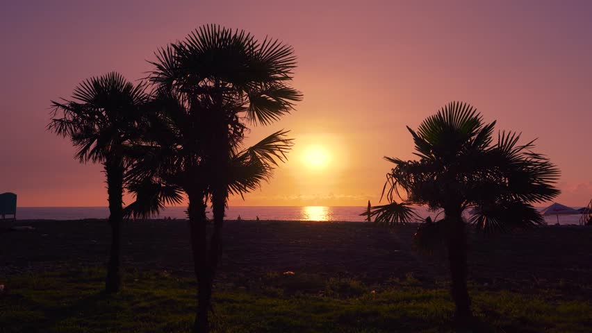 Palm trees against the beautiful sunset over the sea with wave. 
