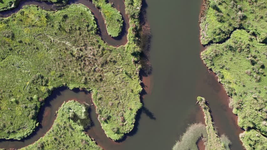 Aerial Top Down View Over Winding River In Wilderness