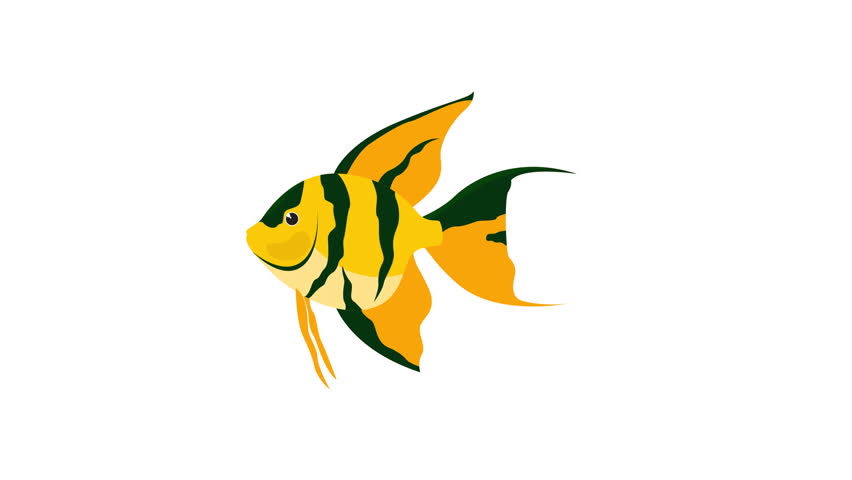 Yellow black striped angelfish illustration ideal for aquatic life enthusiasts seeking beautiful exotic tropical fish art for designs.	
