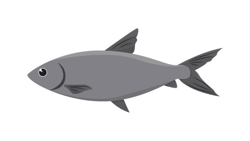 Simple gray fish cartoon illustration ideal for marinethemed designs. Suitable for childrens books, educational materials, aquariums, and ocean conservation campaigns.	