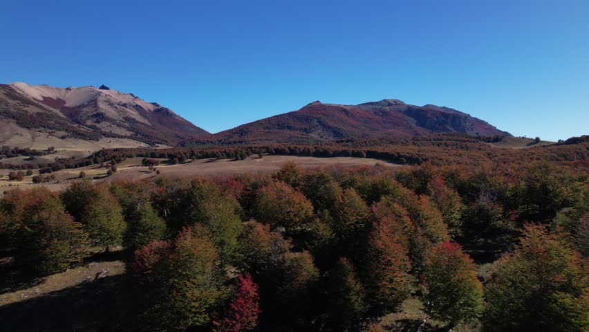 Aerial View of Autumn Forest and Mountain Landscape