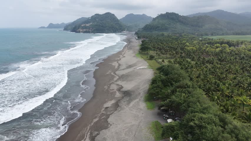 An aerial view of a tropical beach with palm trees a long coastline and distant mountains
