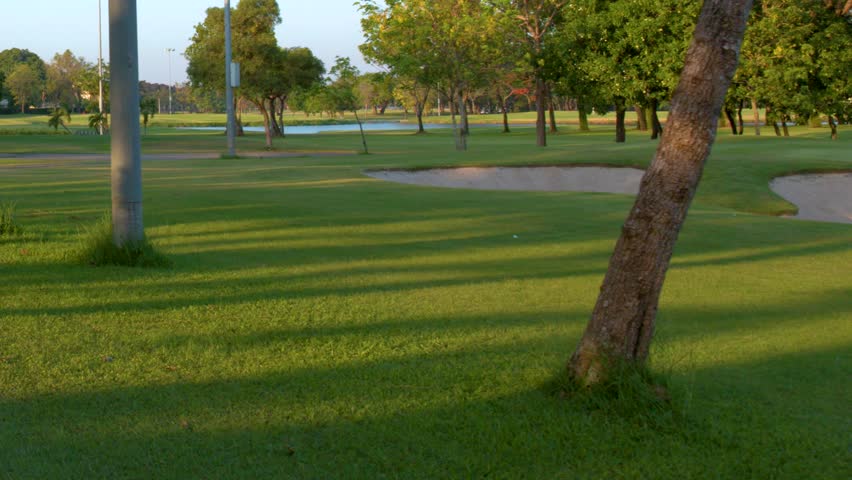Wide panning shot of a lush tropical park with walking paths under bright morning sunlight.