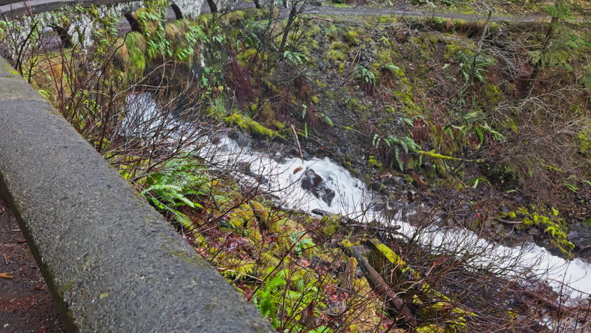 Wahkeena Falls creek rushing through mossy rocks beside forest trail, tracking follows descending water