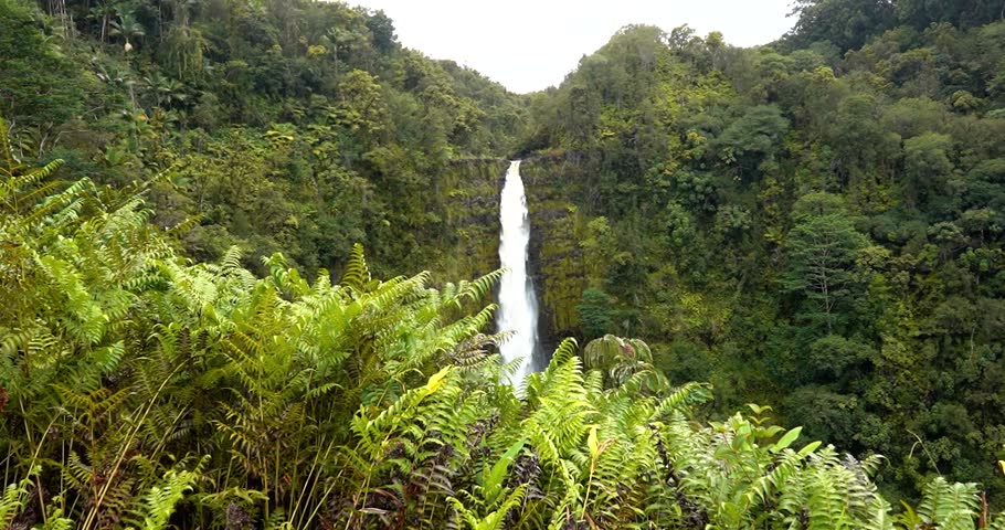 Akaka Falls waterfall cascading from lush rainforest in Hilo, Big Island, Hawaii