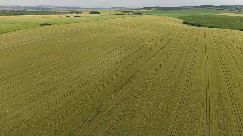 This aerial shot captures expansive green agricultural fields in rural Hungary, highlighting the intricate cultivation patterns and the serene natural beauty.