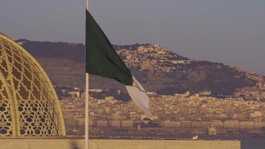 Proud display of the Algerian national flag fluttering against a breathtaking view of Algiers. The golden light highlights the city